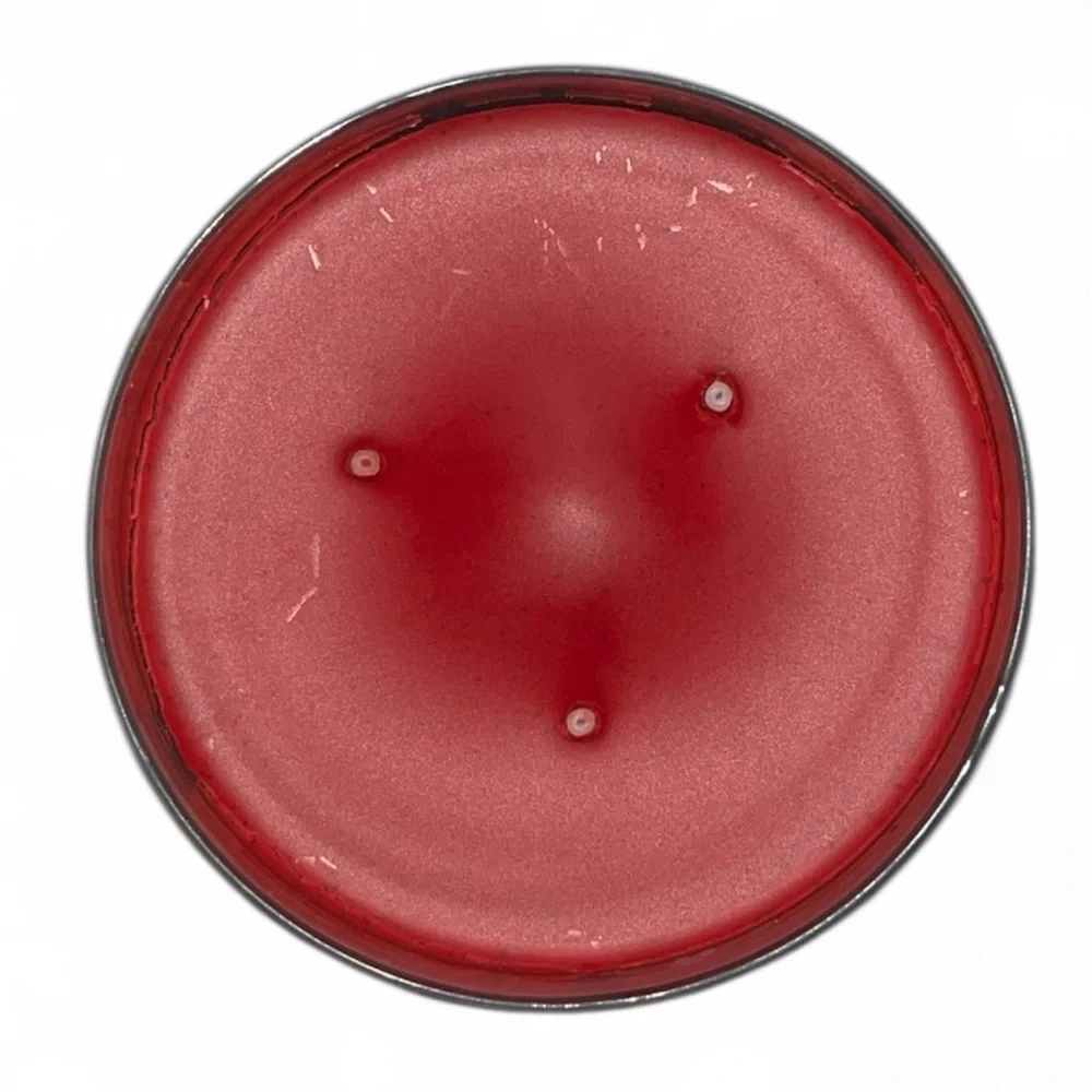 Harry Potter Gryffindor 14.5 oz 3-wick Soy Candle